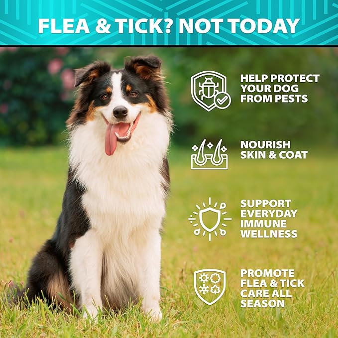 Flea and Tick Prevention for Dogs - No Harsh Chemicals - Natural Answer to Collars, Drops, Sprays - Dog Flea and Tick Treatment - Oral Chewables with Neem, Coconut, Salmon Oil - 120 Soft Duck Chews