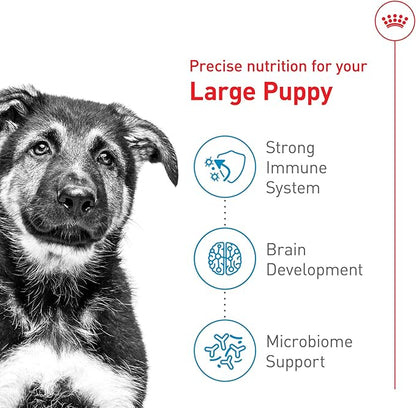 Royal Canin Size Health Nutrition Large Puppy Dry Dog Food, 40 lb Bag