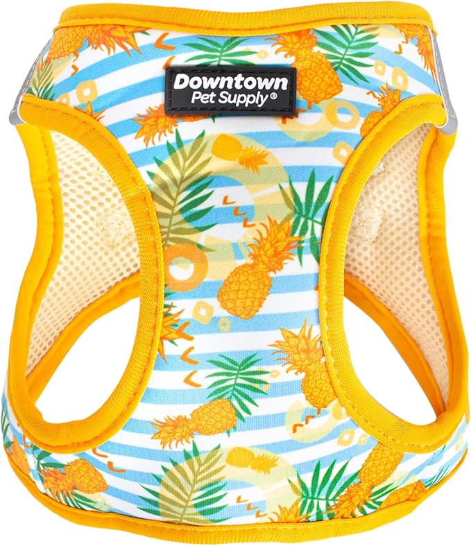 Downtown Pet Supply Step-in Dog Harness – No Pull, Adjustable Padded Mesh with Reflective Trim, Secure Buckle Strap – Comfortable & Breathable Small Dog Harness, XX-Small, Pinneaple
