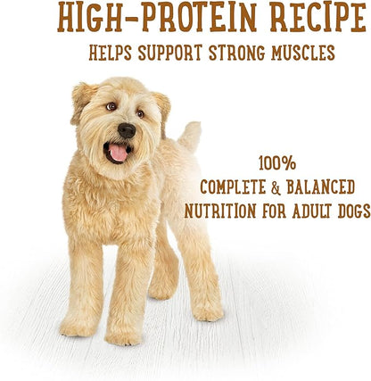 Beneful Purina Gravy Wet Dog Food, Prepared Meals Beef Stew - (8) 10 oz. Tubs (Pack of 2)