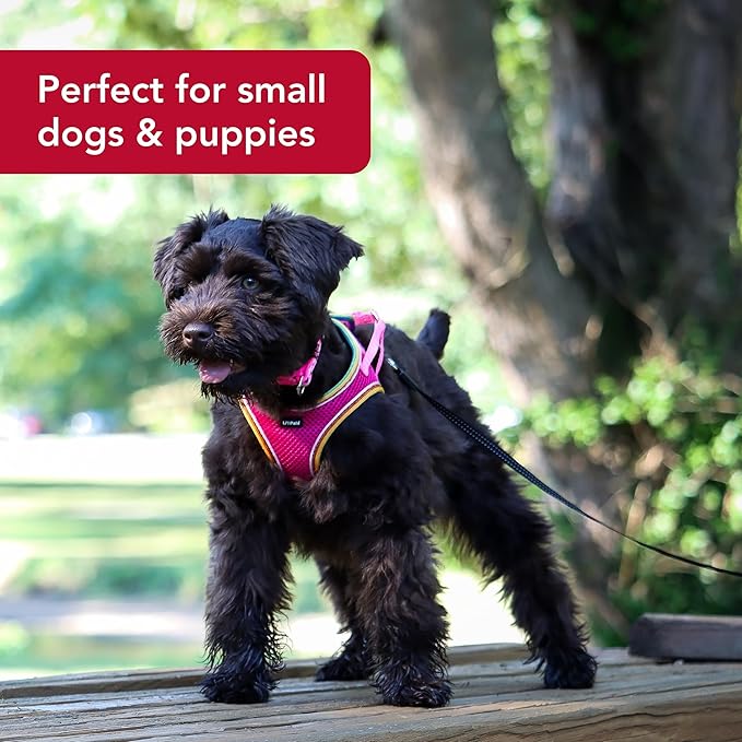 Coastal Pet Li'l Pals Comfort Mesh Dog Harness - No-Pull Step-in Dog Harness for Small Dogs & Puppies - Dog Cooling Vest - Orchid - 3/8" x 8"-10"