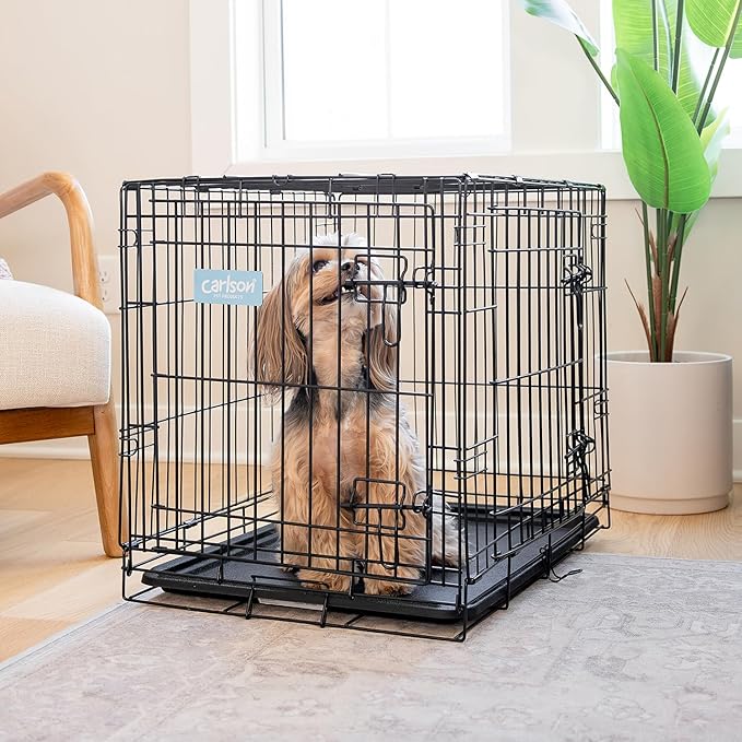 Carlson Pet Products Double Door Metal Dog Crate with Divider, Small 24" Dog Crate for Small Dogs & Puppies, Foldable Collapsible Dog Kennel with Removable Tray, Wire Dog Cage for Training & Travel