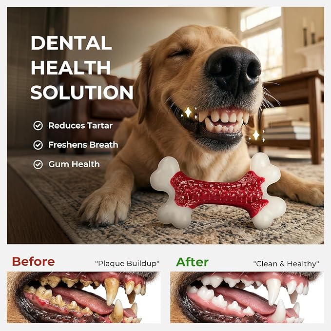 Kseroo 10-Pack Indestructible Dog Toys for Aggressive Chewers: Beef Flavored Hard Nylon Bone Chew Toys, Tough Dog Chew Toys for Large Dogs, Dog Toys to Keep Them Busy for Medium Large Breed, Red