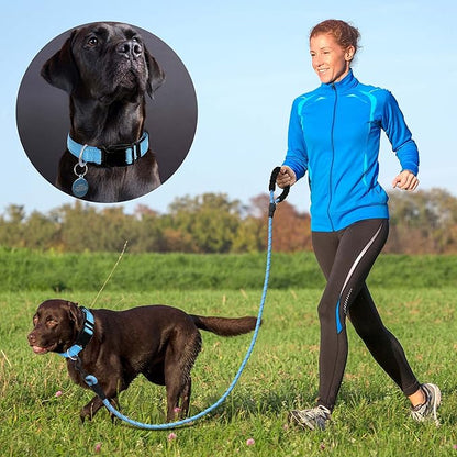 Ladoogo Reflective Dog Collar Padded with Soft Neoprene Breathable Adjustable Nylon Dog Collars for Small Medium Large Dogs (Small (Pack of 1), Vivid Blue Collar+Leash)