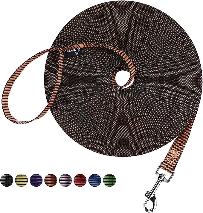 Hi Kiss Dog/Puppy Obedience Recall Training Agility Lead - 15ft 20ft 30ft 50ft 100ft Training Leash - Great for Training, Play, Camping, or Backyard(100ft,Black_Orange)