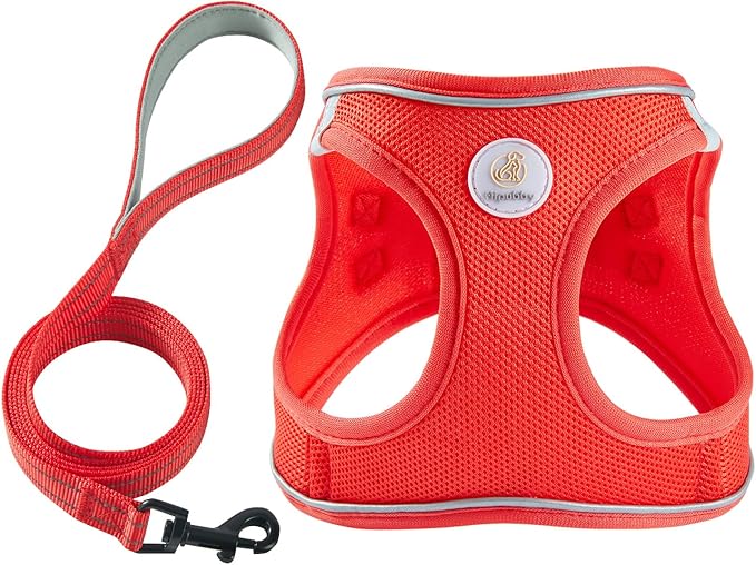 Hipubby Dog Harness and Leash Set, No Pull Soft Mesh Puppy Harness for Small Medium Dogs, Cats - Step in Reflective Breathable Lightweight Vest Harness for Walking, Training - Red, L