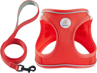 Hipubby Dog Harness and Leash Set, No Pull Soft Mesh Puppy Harness for Small Medium Dogs, Cats - Step in Reflective Breathable Lightweight Vest Harness for Walking, Training - Red, L