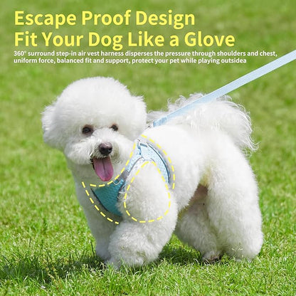 Summer Dog Harness and Leash Set, Soft Dog Vest Harness with Super Breathable Diamond Mesh, Reflective No-Pull Pet Harness for Outdoor Walking, Training for Small Dogs, Cats Blue XXS