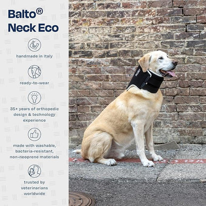 Balto Neck Eco Soft Recovery Collar for Dogs – E-Collar Alternative for Post-Surgery, Allergy Relief & Wound Protection – Adjustable, Breathable, Washable Cone – Vet-Approved (Large)