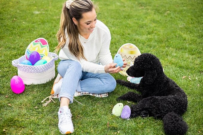Pearhead Jelly Beans Plush Dog Toys, Easter Dog Toy Set with Squeakers, Pastel Interactive Puppy & Dog Play Toys, Pet Easter Basket Gift, Set of 3