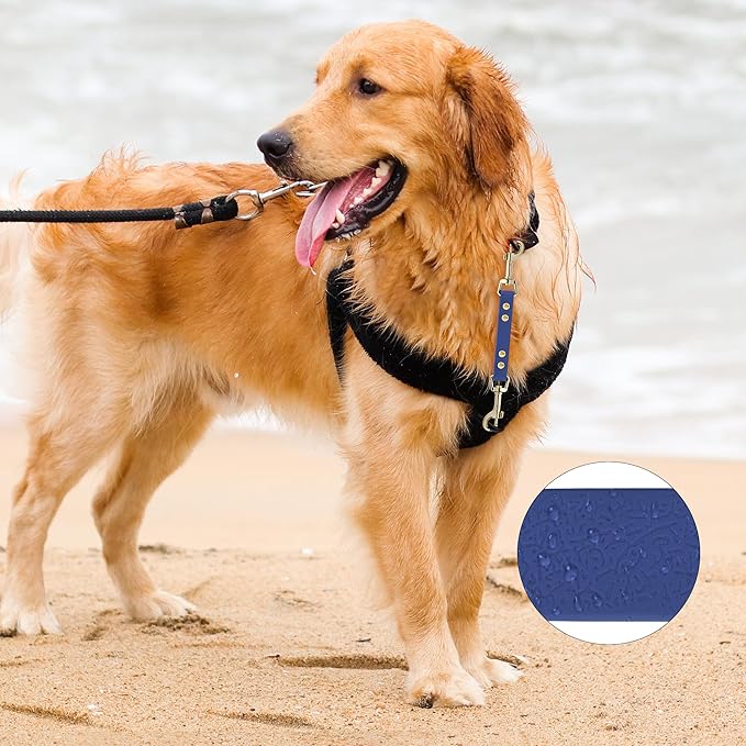 PetBonus Dog Collar Safety Clip, Waterproof Backup Safety Strap for Dog Harness to Prong Collar, Odor Proof Double Ended Clasp Leash Connector for Training Walking (Blue)
