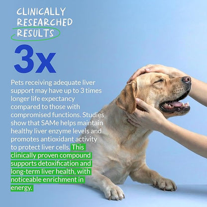 Same for Dogs - 90 Soft Chews - S-Adenosyl-L-Methionine, Liver Supplement - Brain Health, Promotes Cognitive Support, Liver Support (Same Soft Chews)