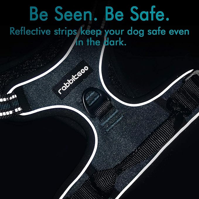 rabbitgoo Dog Harness No Pull with 2 Leash Clips, Adjustable Soft Padded, Reflective Oxford No Choke Pet Vest with Easy Control Handle for Small Dogs, Blue Coral, S