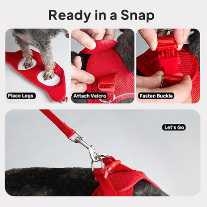 PetiFine Step in Small Dog Harness and Leash Set, Breathable All Weather Air Mesh Reflective Escape Proof, Step-in Vest Harnesses for Puppy(XS, Red)