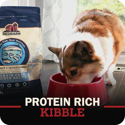 Redbarn Whole Grain Puppy Dry Dog Food Kibble - Beef & Lamb Recipe - Made in USA No Chicken Recipe with Functional Ingredients to Support Healthy Heart, Skin, Coat, Immunity & Digestion - 22lb