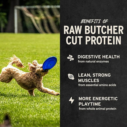 Vital Essentials Freeze Dried Dog Treats | Salmon Bites, Single Protein | Premium Quality | Grain Free Training Treats for Dogs, 5 oz Bag