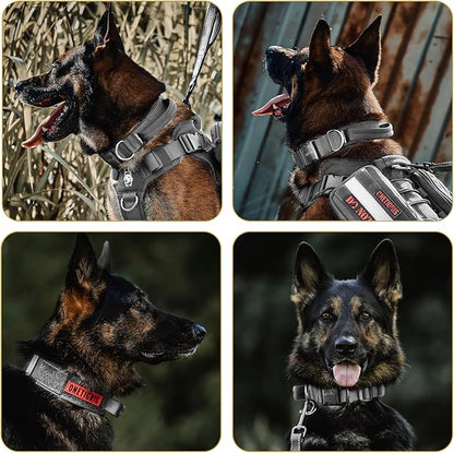 OneTigris Tough Dog Collars, Tactical Dog Collar with Handle, Milltary Adjustable Dog Collar with Heavy Duty Metal Buckle for Training (Medium,Gray)