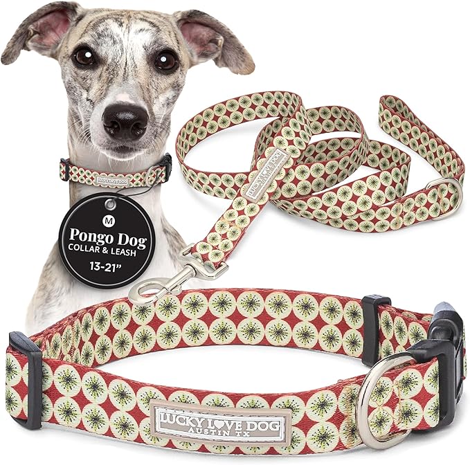 Lucky Love Dog - Easy Click Buckle Dog Collar with Leash Set Combo, Durable & Comfortable for Male & Female Dogs, Pet Collar for Medium Dogs, Secure Fit - Pongo Combo, Medium