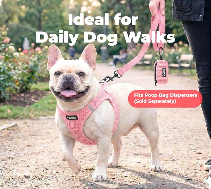 Best Pet Supplies Voyager Reflective Dog Leash or Collar with Neoprene Handle, for Small, Medium, and Large Breed Puppies, Cute and Heavy Duty for Walking, Running and Training - Pink (Leash), L
