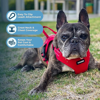 Best Pet Supplies Voyager Adjustable Step-in Flex Breathable Mesh Dog Harness for Small Medium Large Dogs (Red), XL