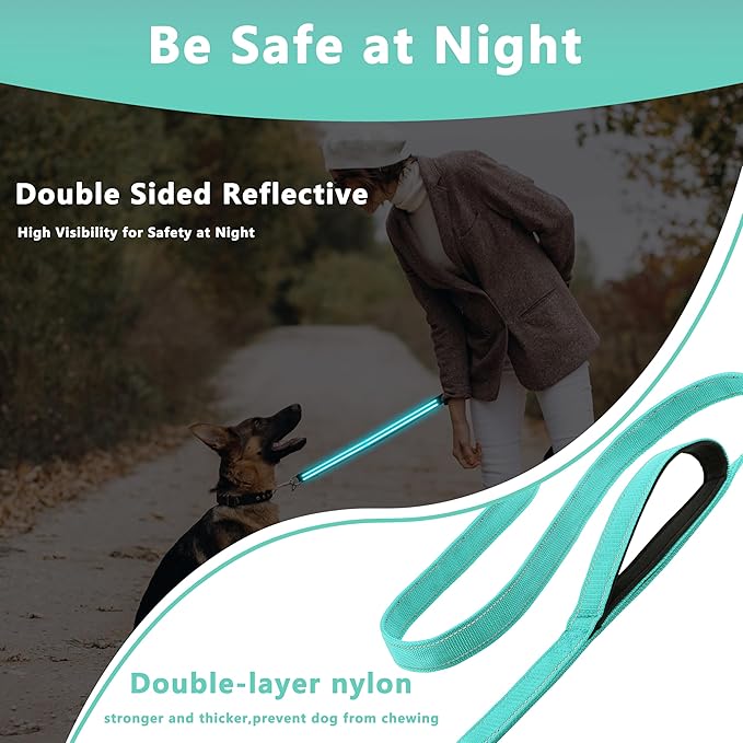Dog Leash 6.5ft Long, Double Handle Dog Leash for Safety Control Training, Heavy Duty Dog Leads with Traffic Padded Handles, Reflective Leashes for Small Medium Large Dogs(6.5ft, Turquoise)