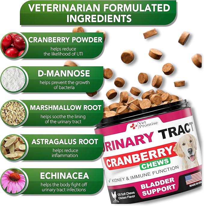 Dog UTI Chews - Advanced Cranberry Supplement for Dogs - Bladder Control - Urinary Tract Support - Cranberry Supplement Vitamins Multivitamin Chews - Made in USA