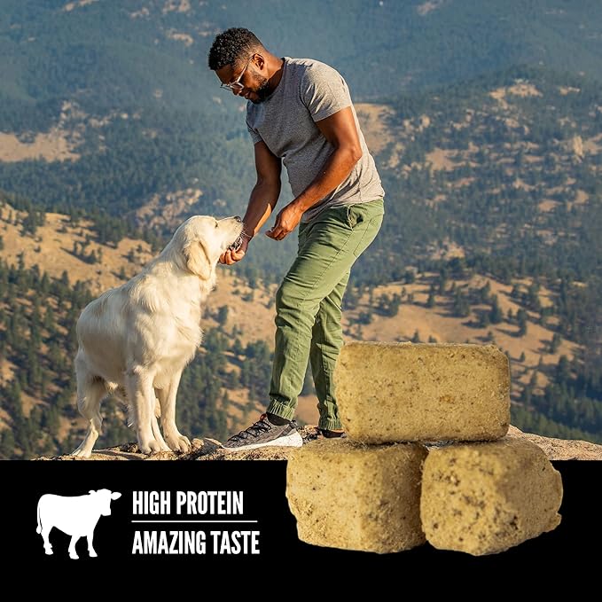 ORIJEN Grain Free High Protein Freeze Dried Dog Treats Ranch-Raised Beef Recipe 3.25oz Bag