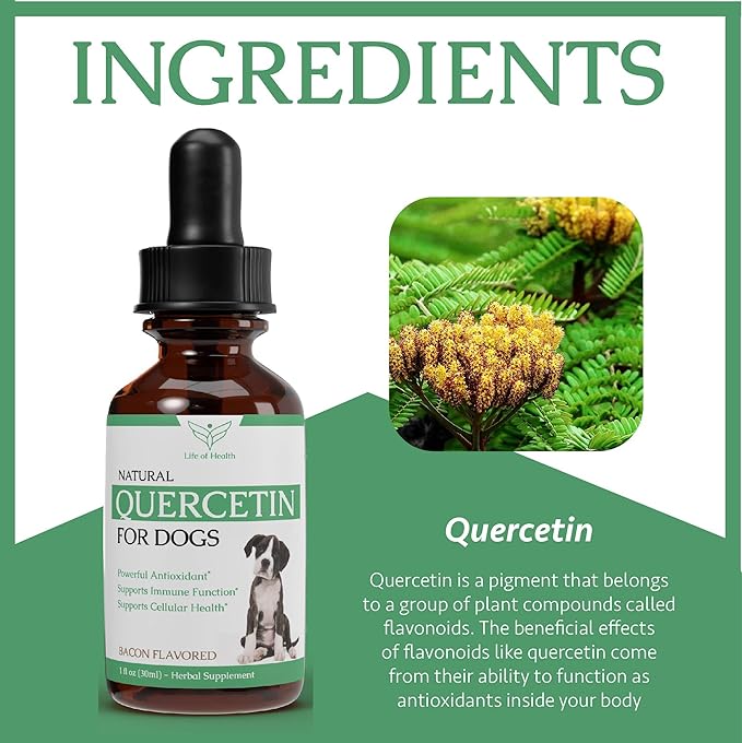 Quercetin for Dogs - Quercetin for Dogs Allergies - Supports Immune, Respiratory, Skin Health & More - Dog Allergy Support - Dog Allergy Relief - 1 fl oz