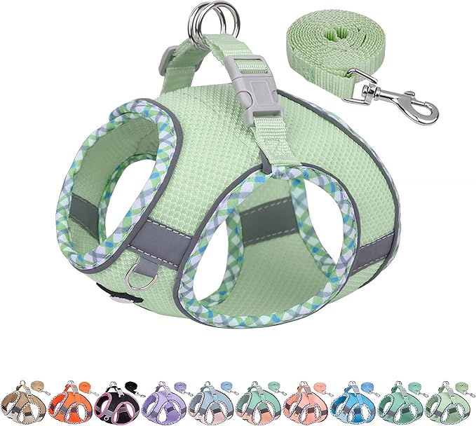 AIITLE Small Dog Harness - Breathable Double-Layer Jacquard No-Choke Vest, Durable Anti-Tear Fabric with Reflective Trim - Perfect for Running, Parties, Daily Walks (Sage, XS)