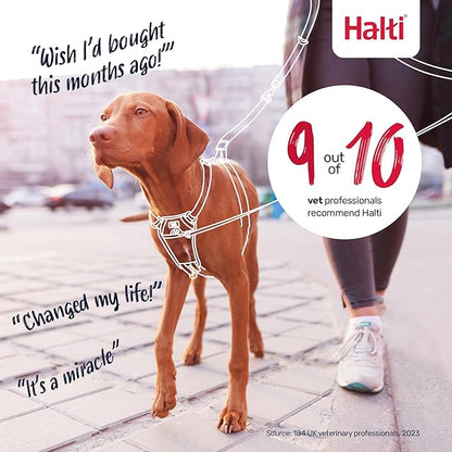 Halti No Pull Harness - Stop Your Dog Pulling on The Leash. Adjustable, Lightweight and Easy to Use. Reflective Dog Training Harness for Medium Dogs (Size M, Burnt Orange)