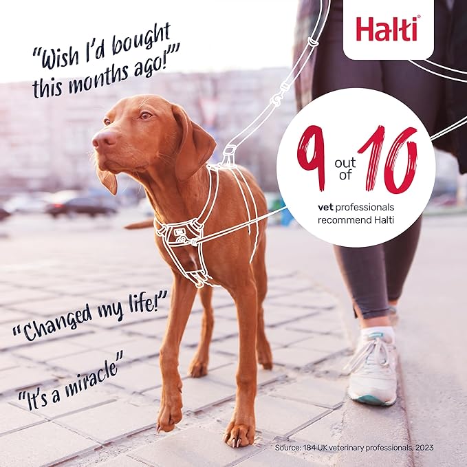 Halti No Pull Harness - Stop Your Dog Pulling on The Leash. Adjustable, Lightweight and Easy to Use. Reflective Dog Training Harness for Large Dogs (Size L, Forest Green)
