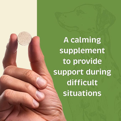 Spirited Paw Calm - Non-Drowsy Relaxation for Cats & Dogs - Stress Support Chews with L-Theanine, L-Tryptophan & Magnesium - for Moving, Introductions, Fireworks & Separation - 90 Chewable Wafers