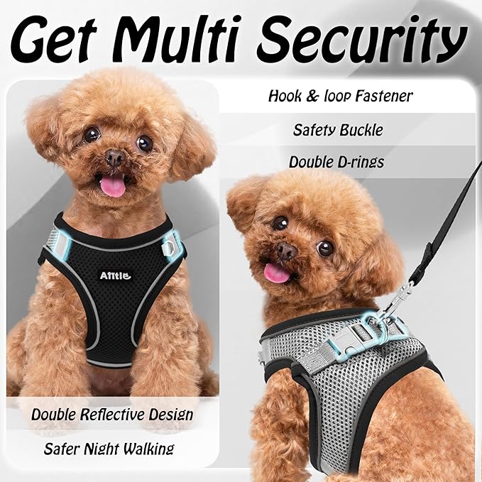 AIITLE Step in Dog Harness and Leash Set - No Pull Escape Proof Vest Harnesses with Soft Mesh and Reflective Bands, Adjustable Pet Outdoor Harnesses for Small and Medium Dogs Black M