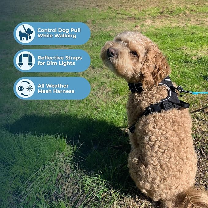 Voyager No Pull Dog Harness for Medium Dogs, Dual Leash Attachments, Adjustable Soft but Strong Pet Harness with 3M Reflective Technology, Black Nylon, M (Chest: 20-25") (Pack of 5)