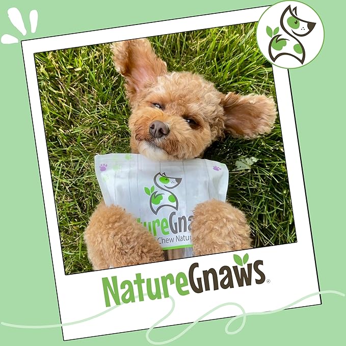 Nature Gnaws Braided Bully Twists for Dogs 5-6" (10 Count) - Long Lasting for Small and Medium Dogs - Natural Beef Dog Chew Bones