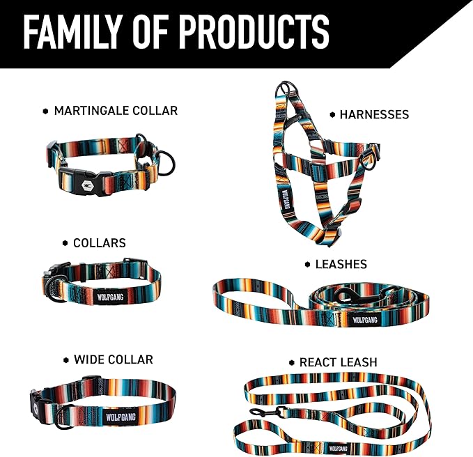 Wolfgang Heavy Duty Martingale Dog Collar with Quick Release Nylon Buckle for Walking & Training, LostArt Print, Large