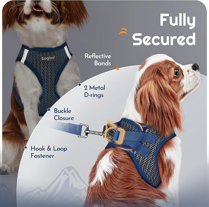 Eagloo Small Dog Harness and Leash Set, Step in Puppy Vest with Breathable Soft Mesh, Walking Reflective Pet Harness for Extra Small Dogs, Navy Blue, XXS