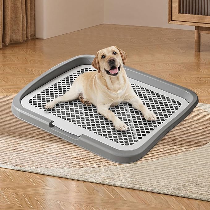 Dog Toilet Training, Toilet Puppy Pad Holder, Non-Slip, with Column, Dog Pee Holder, Training Pad for, Home, Dorm, Gray