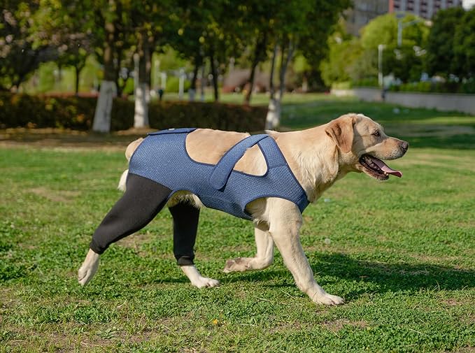 Dog Hind Leg Recovery Sleeve Dog Recovery Suit Breathable Sleeve to Stop Licking and Biting Firm and Secure, Adjustable Size, Comfortable Alternative to Cone Collars (Rear Both Leg，Small)