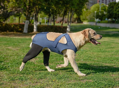 Dog Hind Leg Recovery Sleeve Dog Recovery Suit Breathable Sleeve to Stop Licking and Biting Firm and Secure, Adjustable Size, Comfortable Alternative to Cone Collars (Rear Both Leg，Small)