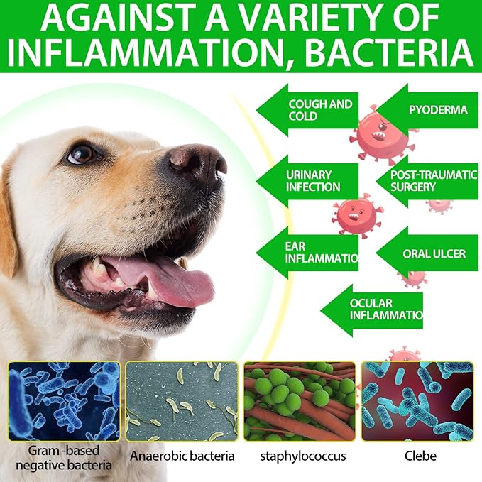 Dog Antibiotics Antibiotics for Dogs Dog Eye Infection Treatment Dog Cough Treatment Dog Cough Treatment 2.02fl.oz (60ml)