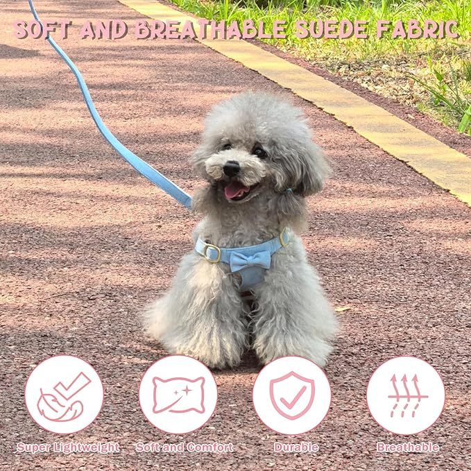 Guiding Star Dog Harness Small Sized Dog with Multifunction Leash, No Pull Puppy Dog Harness and Leash Set Training, Cute Soft Adjustable Dog Walking Harness Pet Vest Harness (Sky Blue-S)