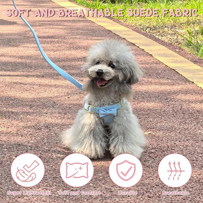 Guiding Star Dog Harness Small Sized Dog with Multifunction Leash, No Pull Puppy Dog Harness and Leash Set Training, Cute Soft Adjustable Dog Walking Harness Pet Vest Harness (Sky Blue-S)
