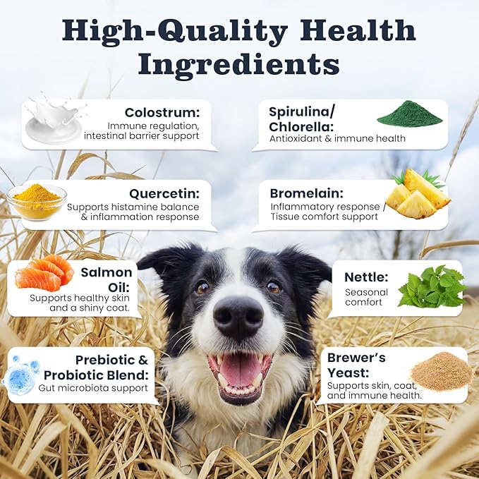 Dog Allergy Chews 200 Treats, Allergy & Itch Skin Relief Omega 3 Fish Oil Probiotics for Seasonal All Issues Allergies Skin & Hair, Gut, Immune Support-All Ages & Sizes Dogs Made in USA Chicken Flavor