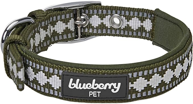 Blueberry Pet Reflective Jacquard Dog Collar with Neoprene Padding & Metal Buckle | Soft & Adjustable Safety Collar - Olive, Neck 13-16.5", for Medium Breed