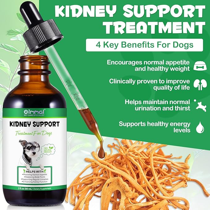 Kidney Support for Dogs - Kidney Support Supplement, Supports Immune, Urinary & Kidney Health Function, Natural Herbal Supplement (2 Fl Oz)