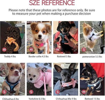 Dog Harness for Small Dogs and Leash Set, Honeycomb Grid, Reflective Lightweight Harness & Anti-Twist Pet Lead Multi Color, Size: XS-S-M. (M, Deep Purple)