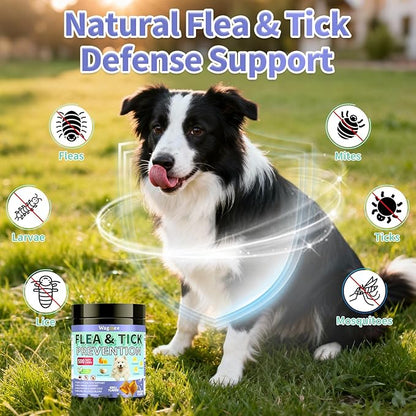 Flea and Tick Prevention for Dogs Chewables – 500 Crunchy & Creamy Tasty Chews, Natural Dog Flea and Tick Treatment Chewable, Oral Flea Chews Supplement for Dogs Puppies, All Breeds & Ages, Chicken