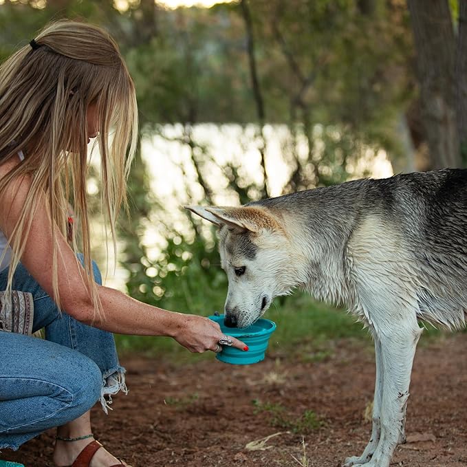 Messy Mutts Silicone Collapsible Bowl | Pet Travel Necessity | Portable Water or Food Dish | Pop Up Watering Bowl | Camping, Hiking, Walking Accessory | Small, 1.75 Cups | Blue