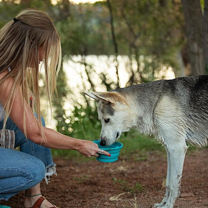 Messy Mutts Silicone Collapsible Bowl | Pet Travel Necessity | Portable Water or Food Dish | Pop Up Watering Bowl | Camping, Hiking, Walking Accessory | Large, 3 Cups | Watermelon